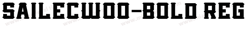 SailecW00-Bold Regul字体转换